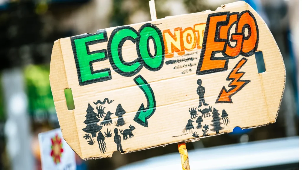 The current image has no alternative text. The file name is: Untitled-design-26.webp