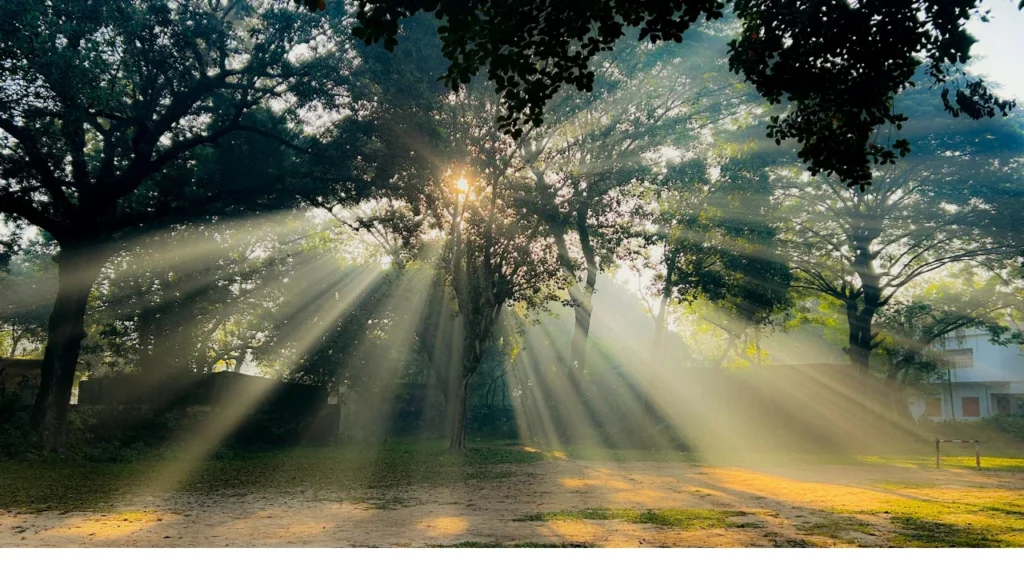 The current image has no alternative text. The file name is: Untitled-design-28.webp