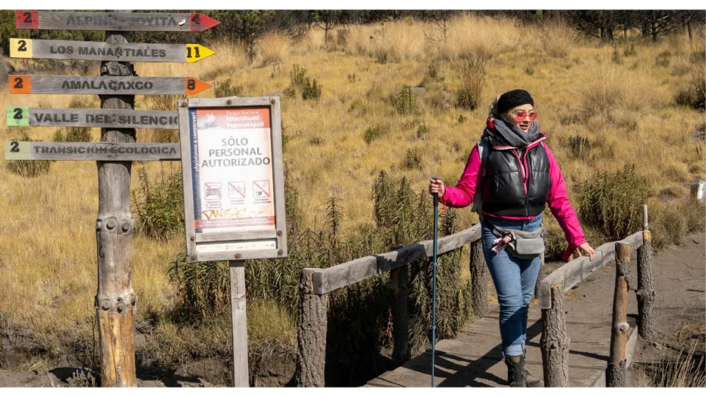 The current image has no alternative text. The file name is: Untitled-design-30.webp